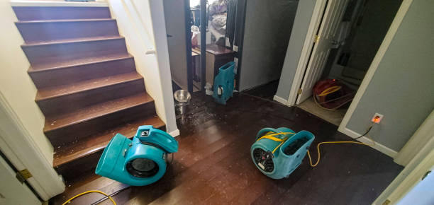 Best Flood restoration services  in Western Springs, IL