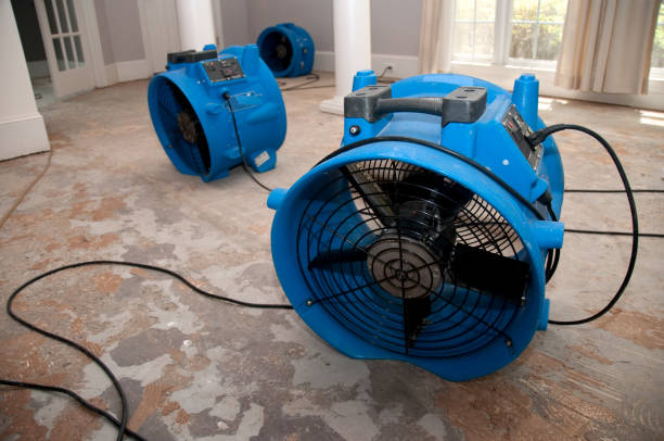 Trusted Western Springs, IL Water damage restoration Experts