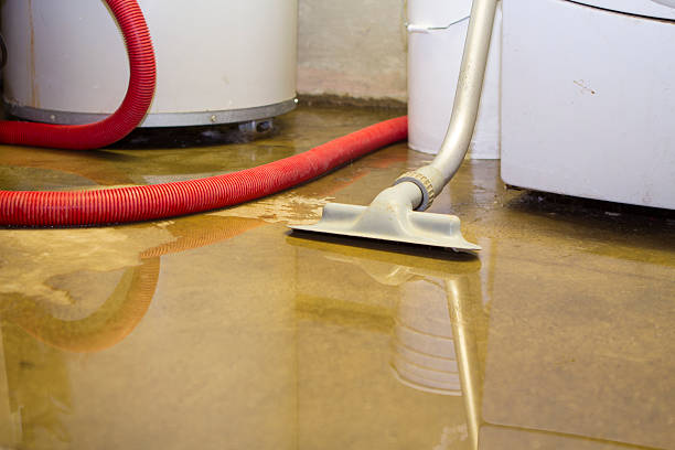 Best Water damage restoration near me  in Western Springs, IL