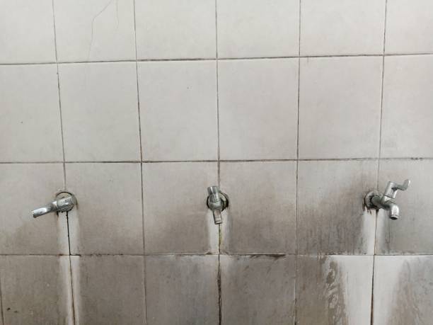 Carpet water damage restoration in Western Springs, IL